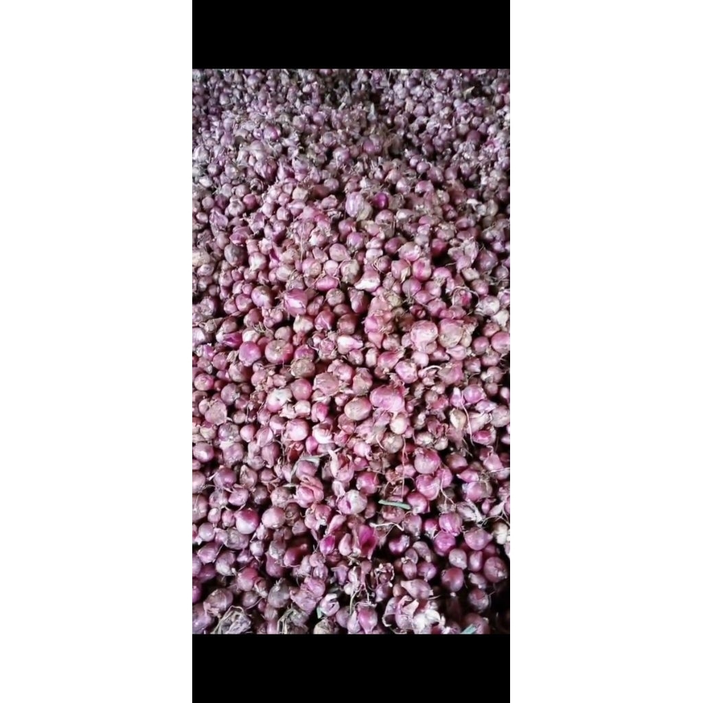 bawang merah lokal 1kg