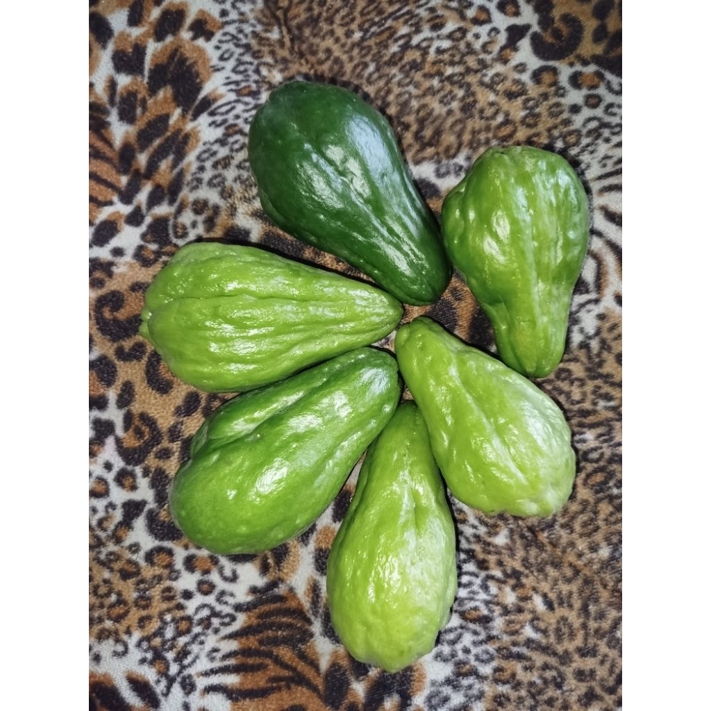 Termurah Labu siam fresh 1 kg / waluh jipang /waluh cina
