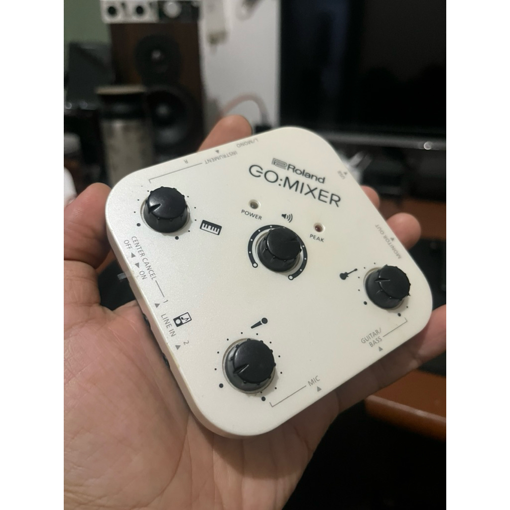 Roland Go Mixer