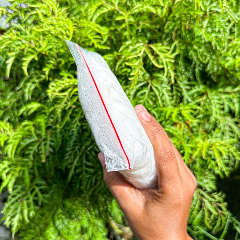 Daging Kelapa Muda Beku 1Kg Daging Kelapa Frozen