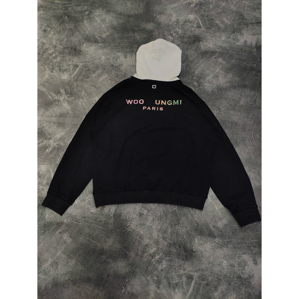 hoodie woyoungmi paris
