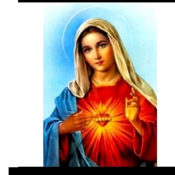 Paket kristik bunda maria hati kudus pola kain rohani katolik virgin mary cross stitch 14ct embroide