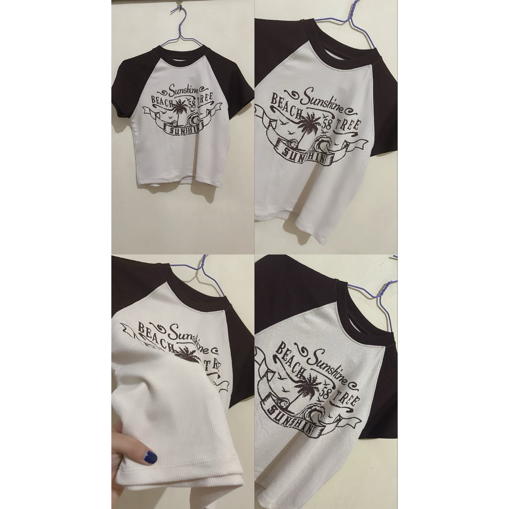 Blueberry Cheese IceCream