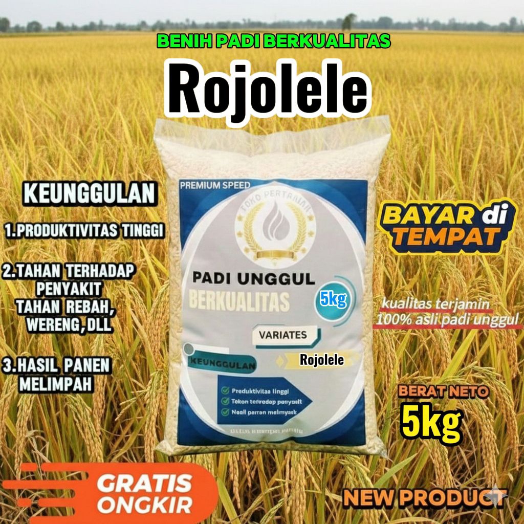 benih padi unggul ROJOLELE berkualitas kemasan 5kg