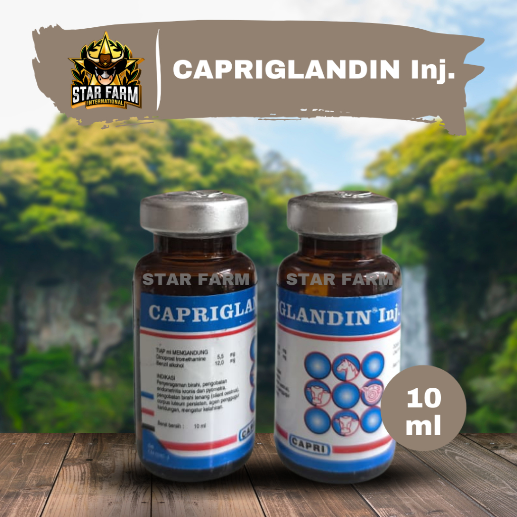 CAPRIGLANDIN INJ 10 ML - Hormon Sinkronisasi Sapi Kambing Domba Kuda Babi