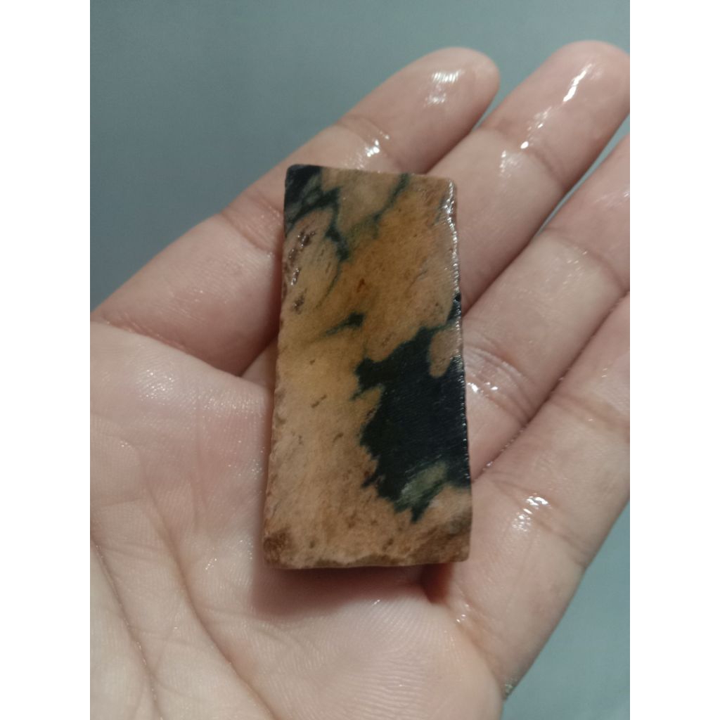 Rough Bahan Fosil Kayu Galih Kelor Motif