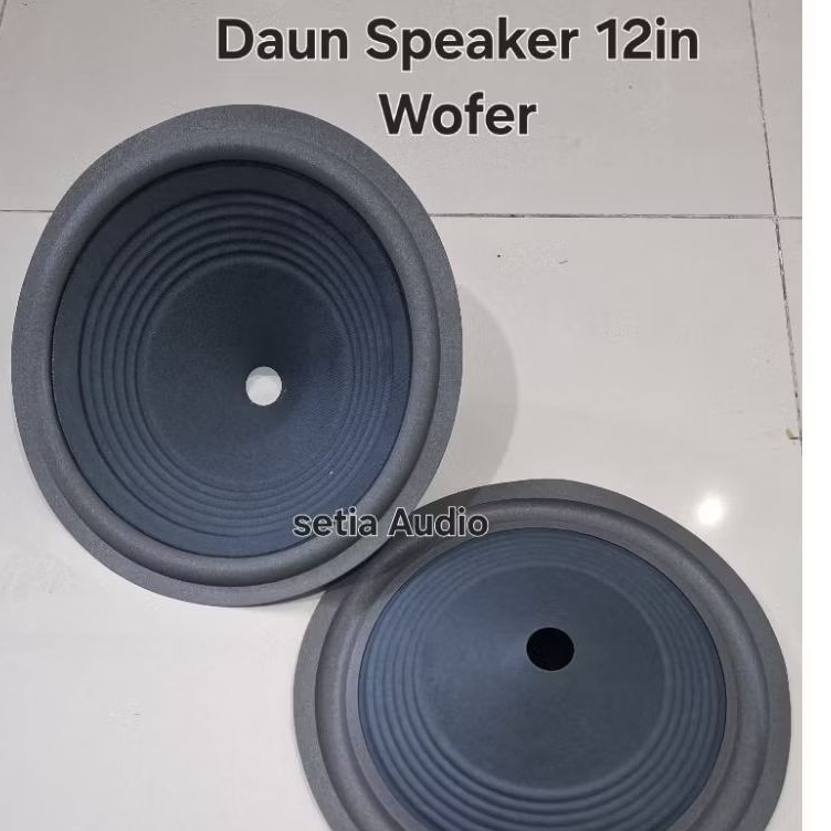 DAUN SPEAKER 12IN WOFER/FULL RANGE
