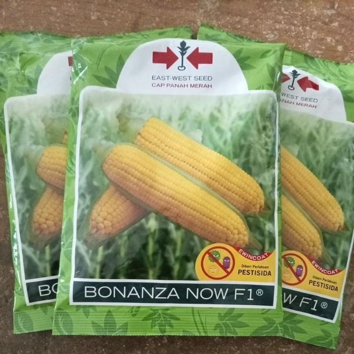 PROMO Benih Jagung Manis BONANZA NOW / BONANZA MB F1 Cap Panah Merah