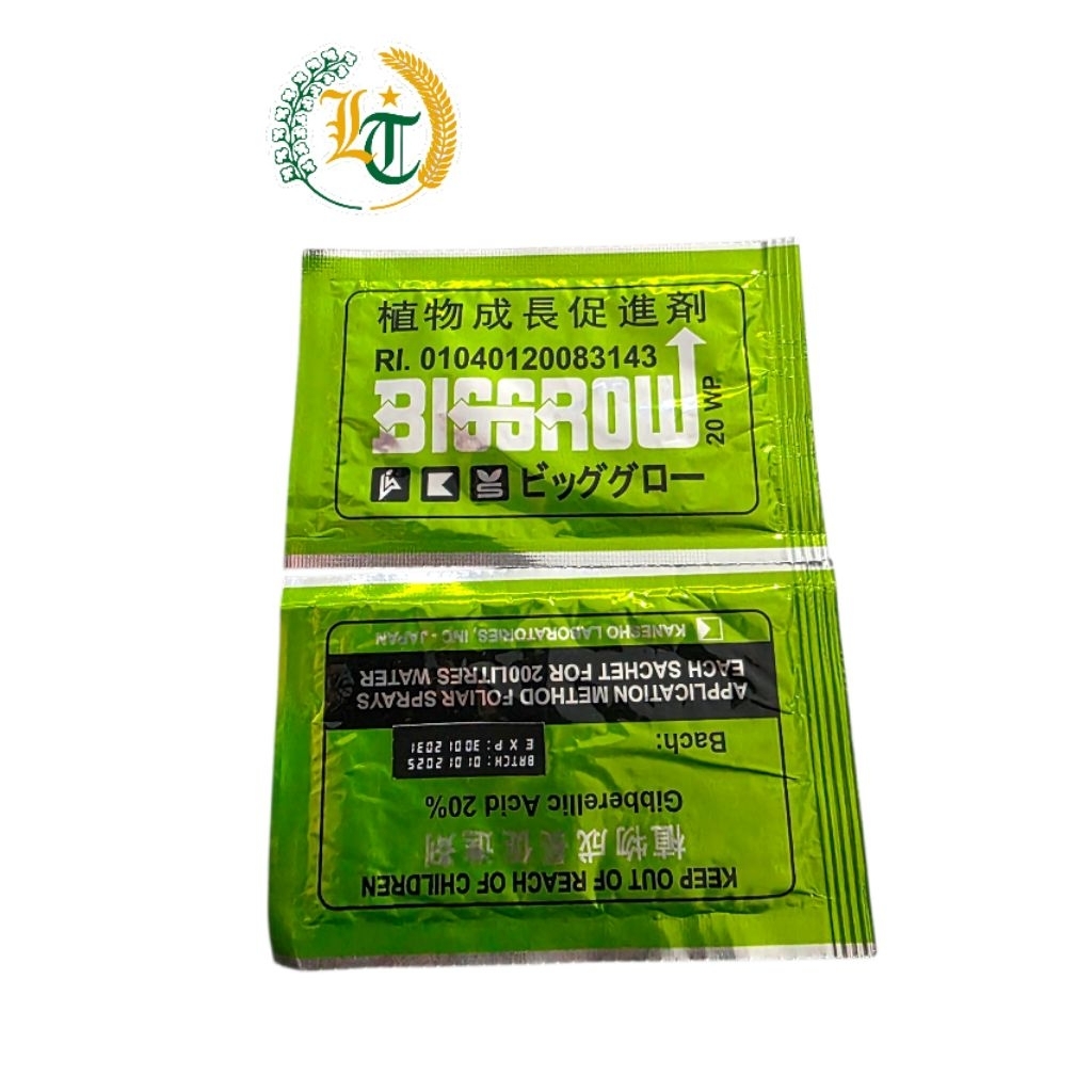 pembesar buah  BIG GROW 20wp