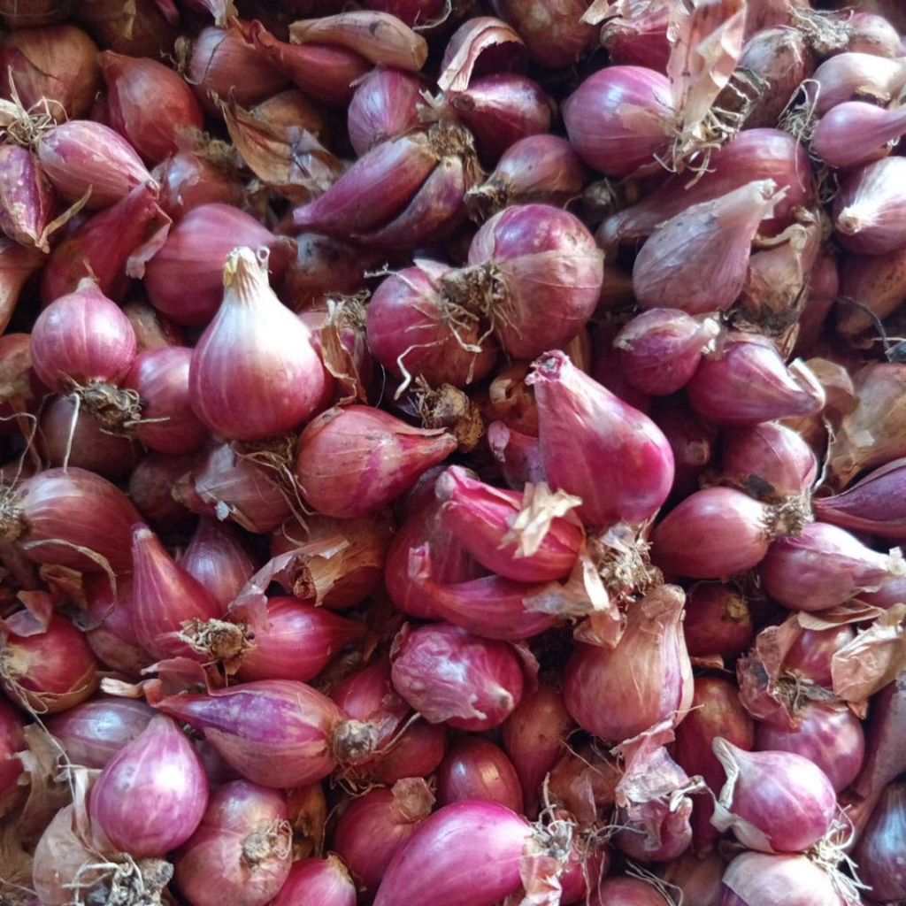 PROMO BAWANG MERAH UKURAN SEDANG TERMURAH 1KG(1000g)