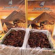 Kurma Golden Valley 10kg Grosir Kurma Arab Takjil Puasa Kurma Manis Legit Golden Valley Kurma Mesir