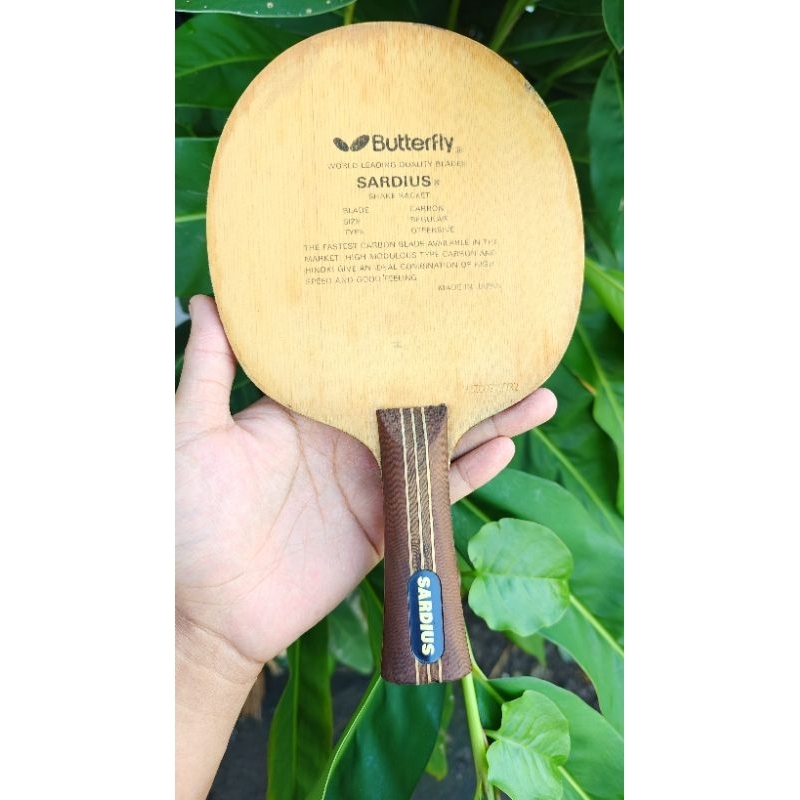 Butterfly Sardius Oldtag / Kupu Hitam / Tag Lama