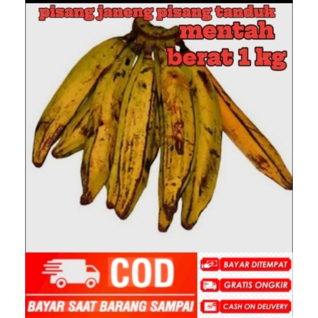 MURAH/PISANG JANENG PISANG TANDUK MENTAH BERAT 1 KG