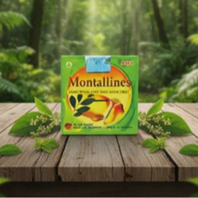 Promo MontalinNES Ready Stok Diskon Terbatas