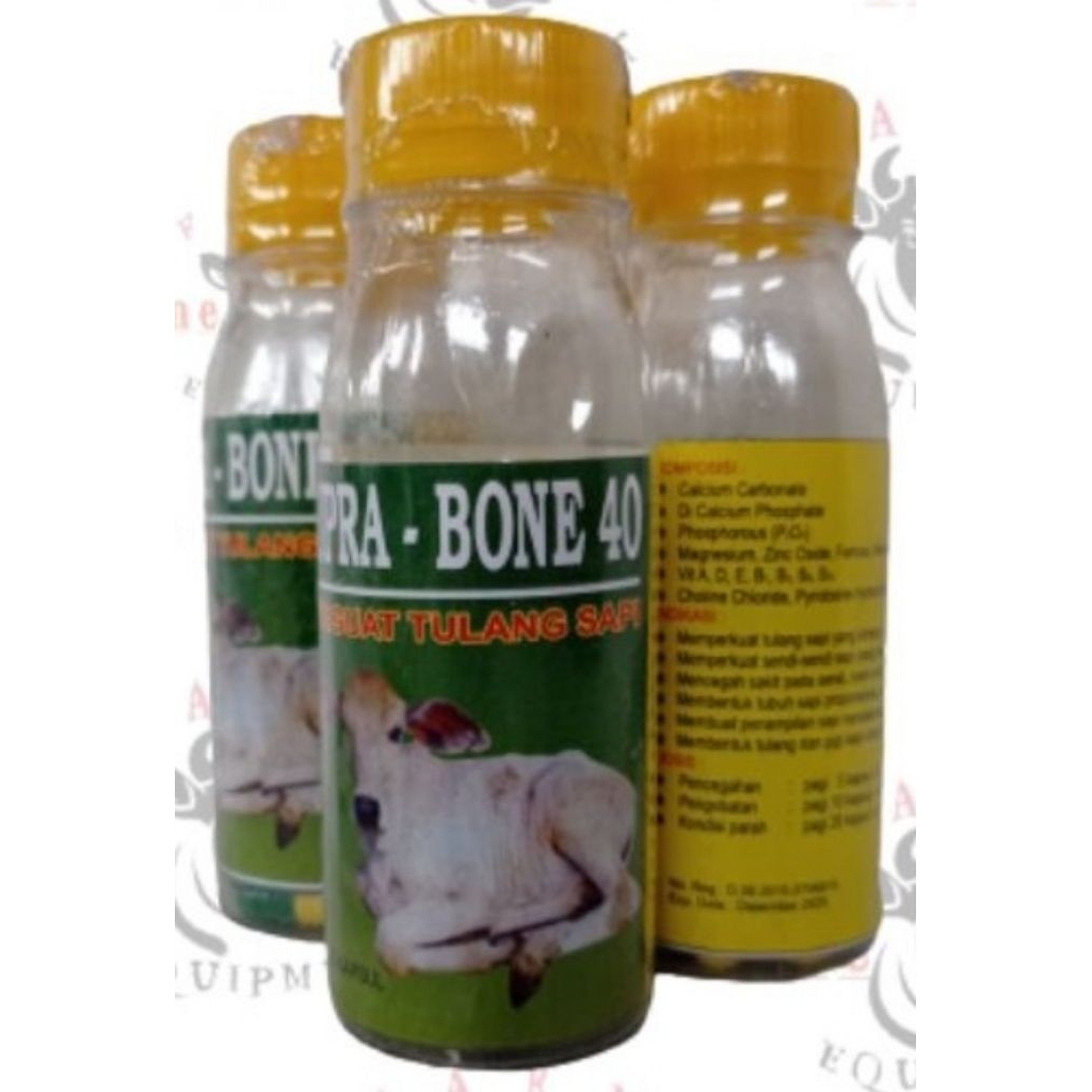 Supra bone suplemen vitamin obat sapi kambing lumpuh pincang tulang bengkok