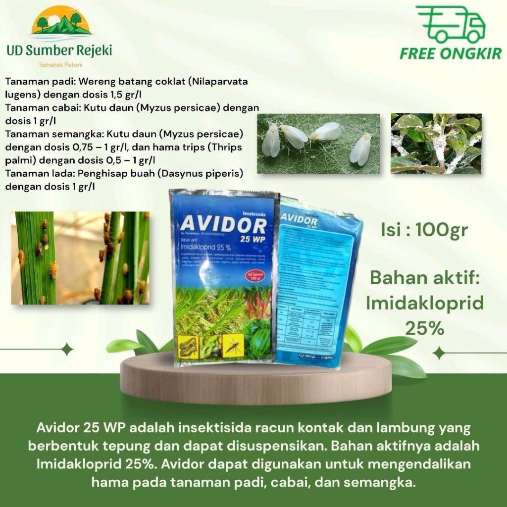 AVIDOR 25 WP