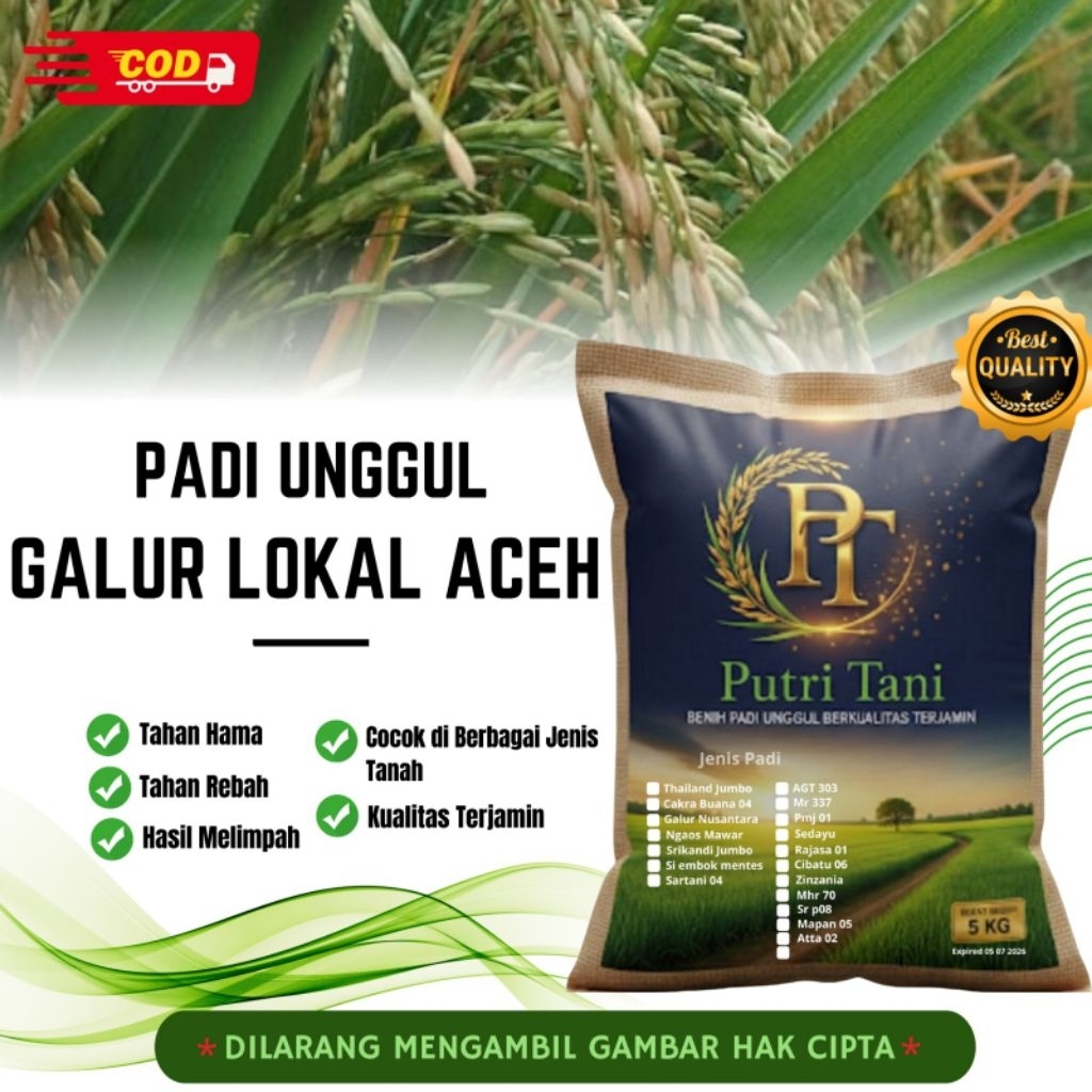 BIBIT PADI GALUR LOKAL ACEH KEMASAN 5KG