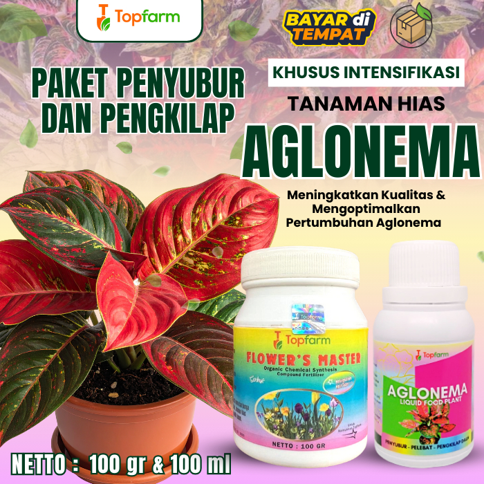 Pupuk Organik Pelebat Daun Aglonema/Pupuk Booster Aglonema/Pupuk Organik Penyubur Daun dan Tunas Agl