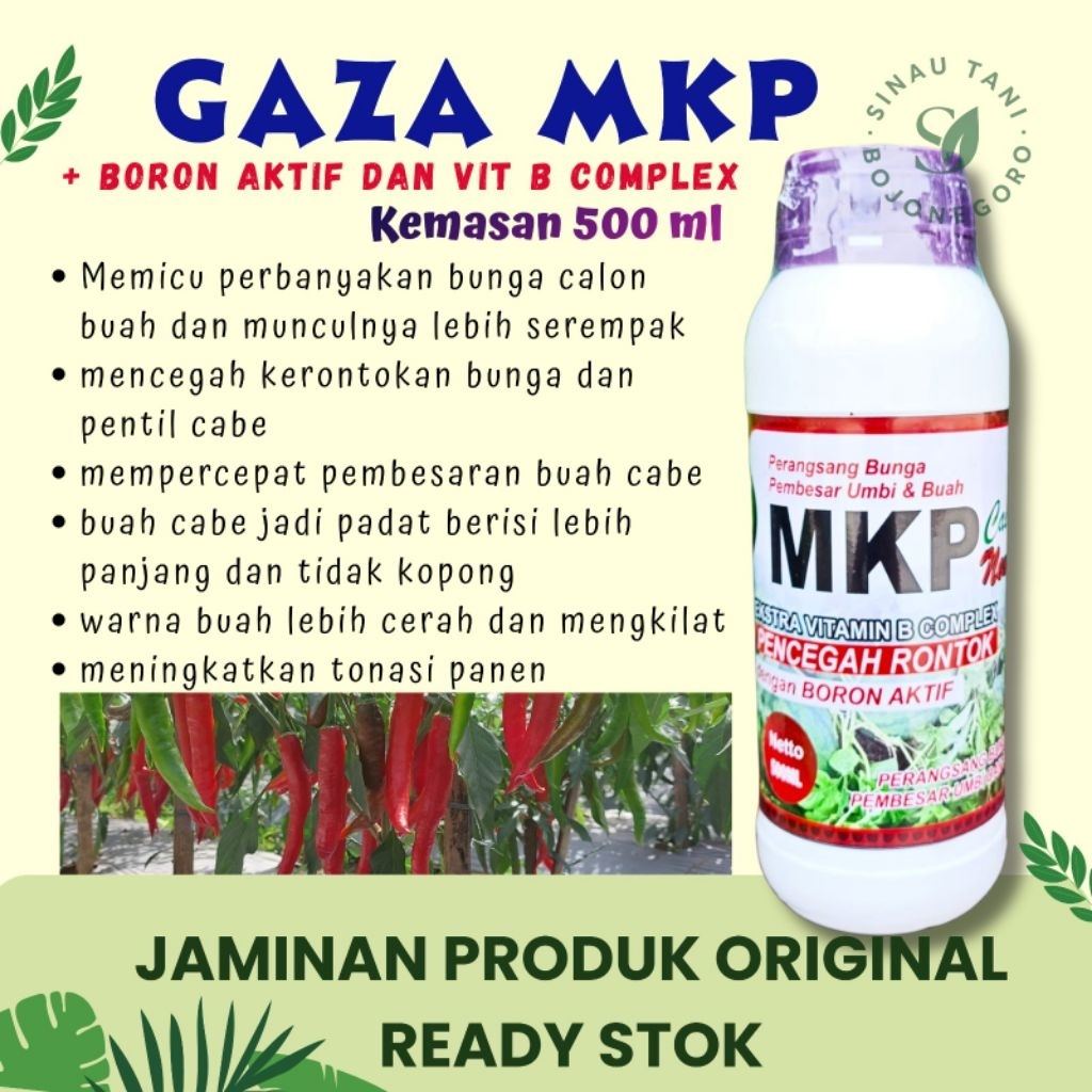 Pupuk Cabe MKP GAZA 500 ml + ZPT + Boron Aktif + Vit B Komplek Jadikan Buah Cabe lebih Banyak Panjan
