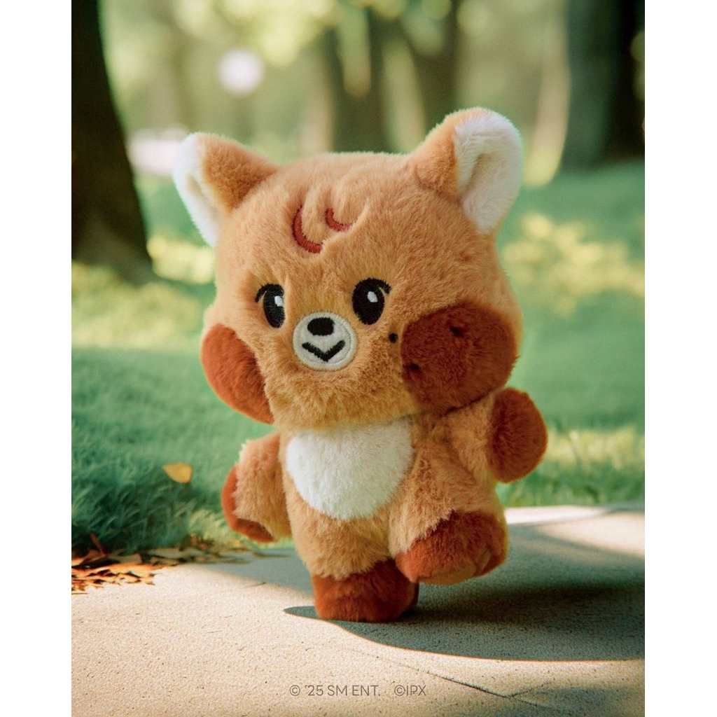 jjed jjopoo kkyupping fullset dreamiez v1 jeno jaemin haechan