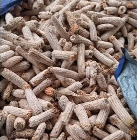 BONGGOL JAGUNG (TONGKOL JAGUNG) harga/kg