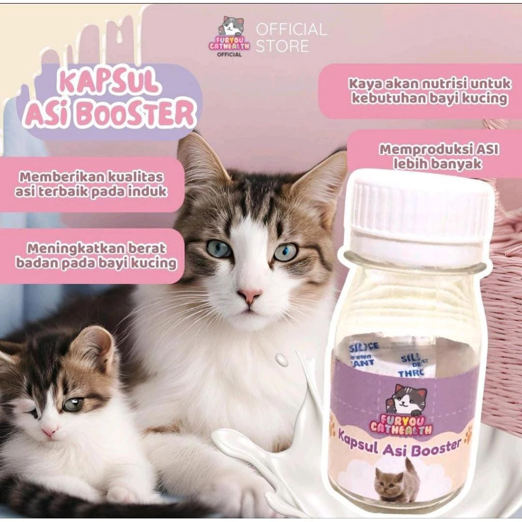 asi booster kucing penambah asi kucing susu kucing vitamin melancarkan asi mengentalkan asi kucing F