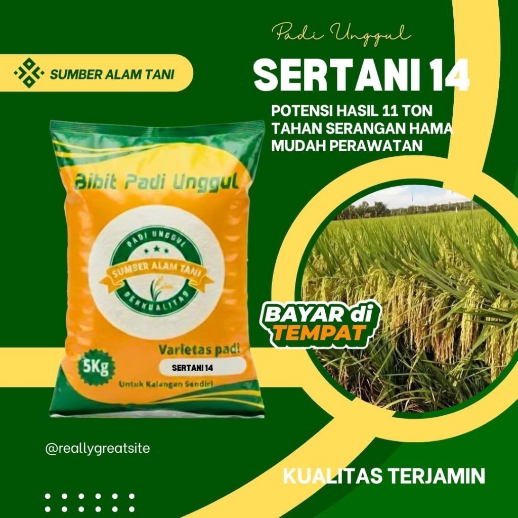 Bibit Padi Sertani 14 kemasan 5kg