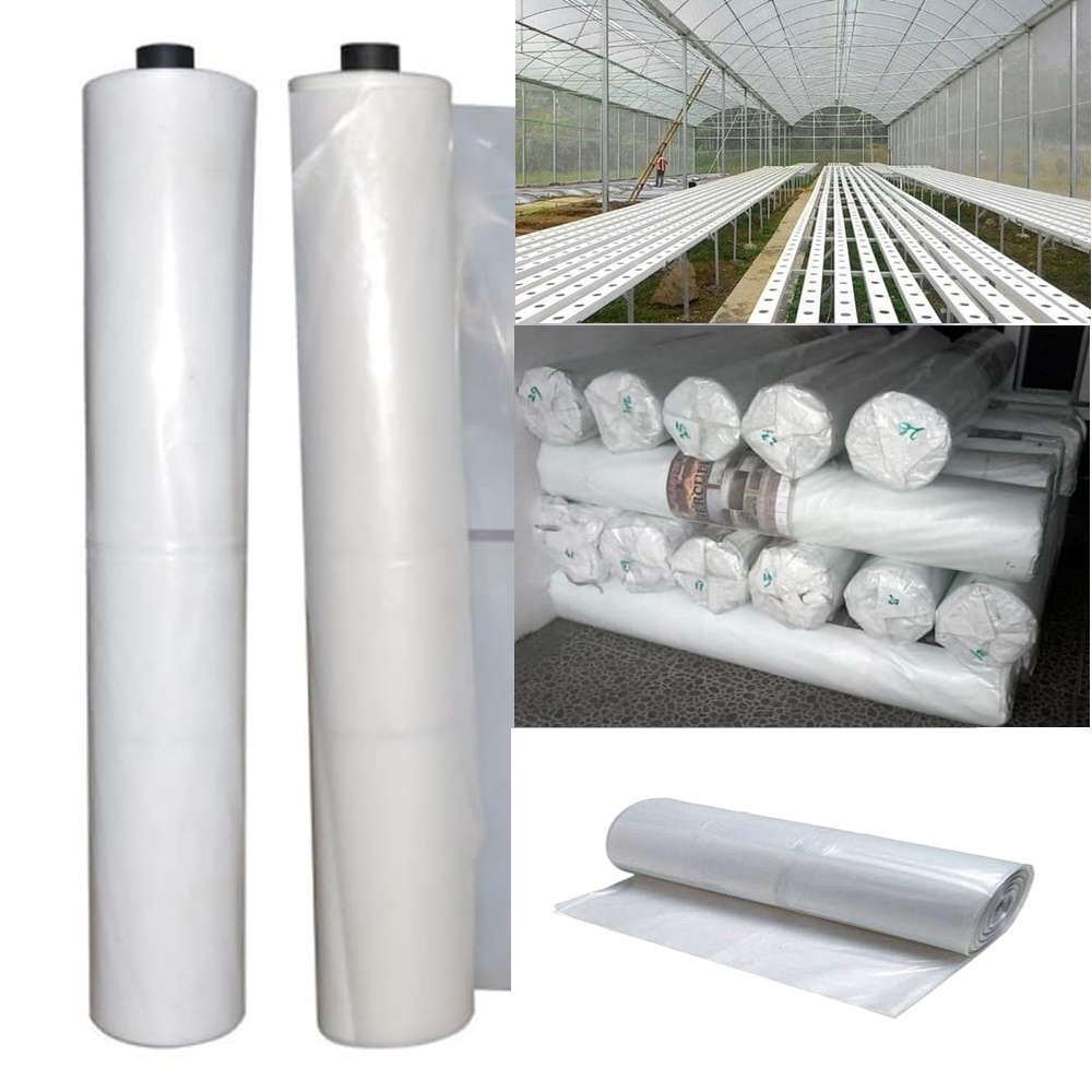 Plastik uv yupi 200 meter tebal 08 micron plastti roll bening serbaguna