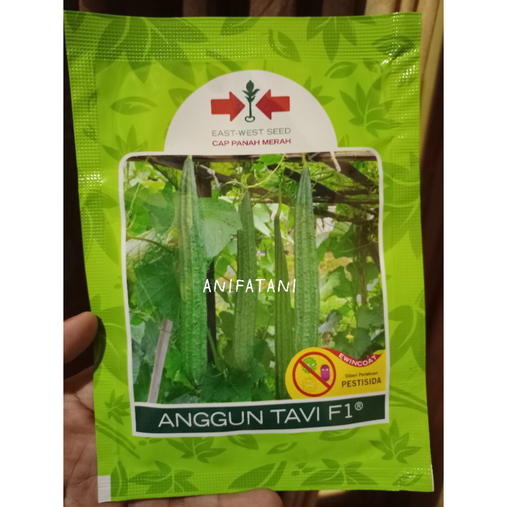 benih gambas/oyong ANGGUN TAVI 75 Butir