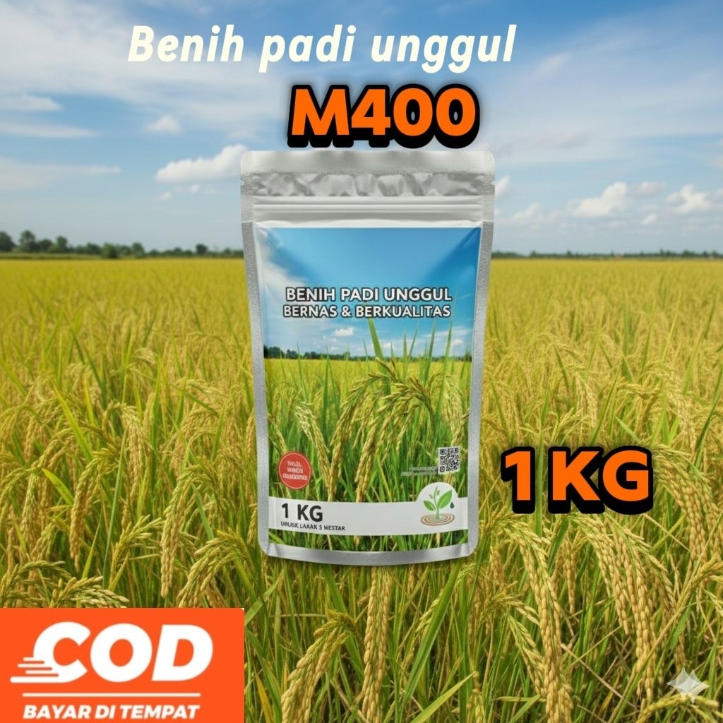 Benih padi unggul M400 kemasan 1kg