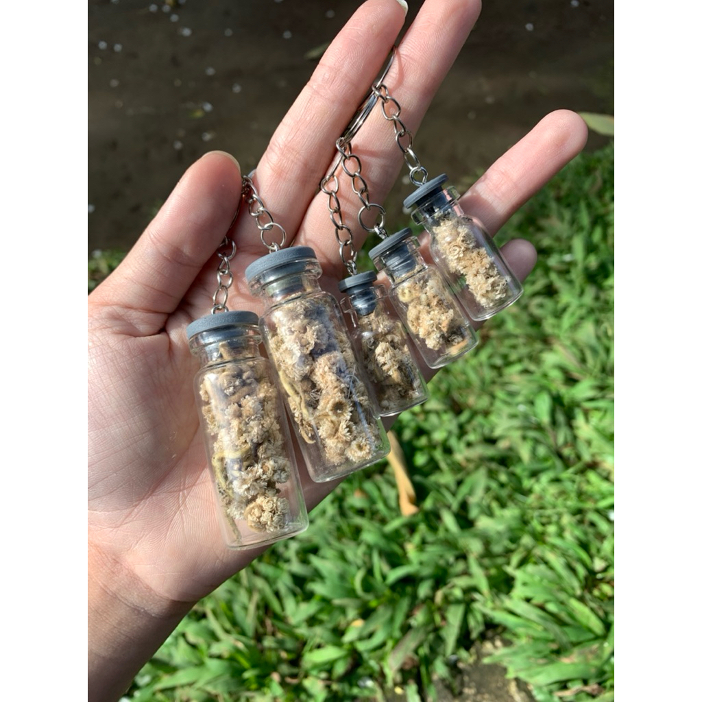 20mix gantungan kunci untuk dijual lagi gantungan kunci bunga edelwes gantungan kunci botol kaca min
