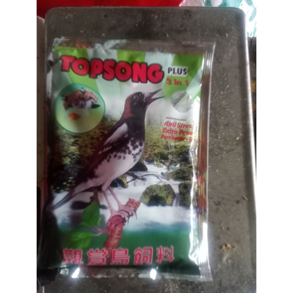 TOPSONG KUNING MAKANAN BURUNG