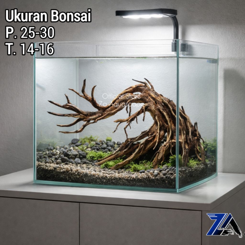 BONSAI AQUARIUM HIASAN AQUARIUM AQUASCAPE BONSAI AQUASCAPE MURAH