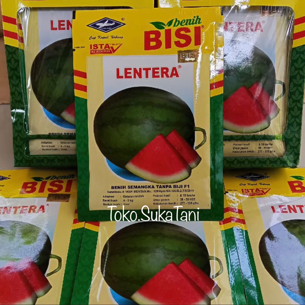 BENIH SEMANGKA HYBRIDA F1 LENTERA BIBIT SEMANGKA NON BIJI KEMASAN 20 GRAM CAP KAPAL TERBANG