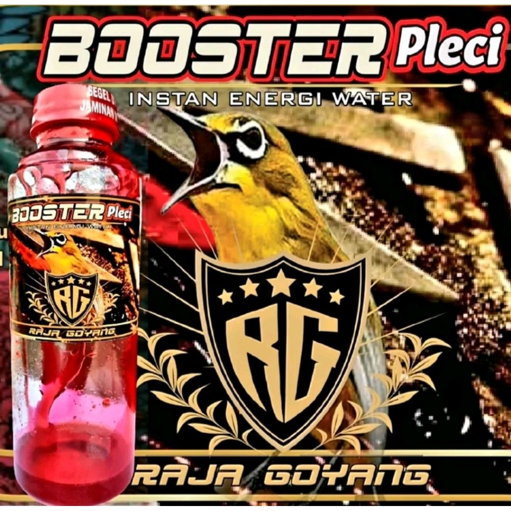 Booster pleci dosis tinggi