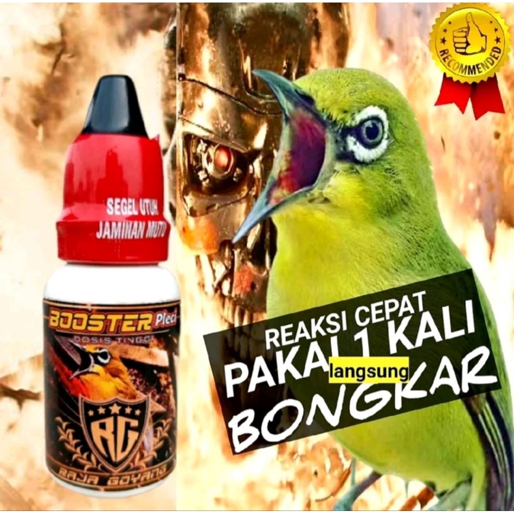 Booster pleci dosis tinggi tetes