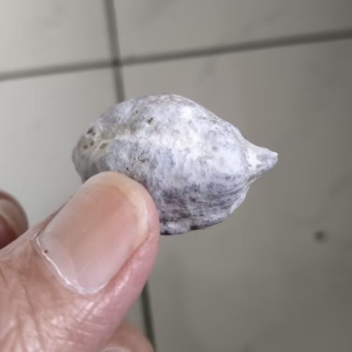 Kemiri Adu Muncang Adu Jayanti Milenial Petot Penyok Tua Jatuhan