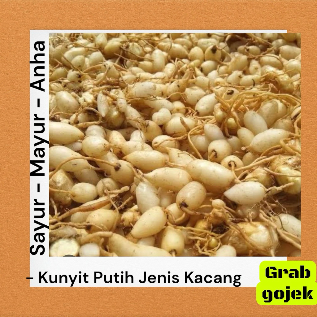 Kunyit putih Jenis kacang / 10ruas / Sayur Mayur Anha Makassar