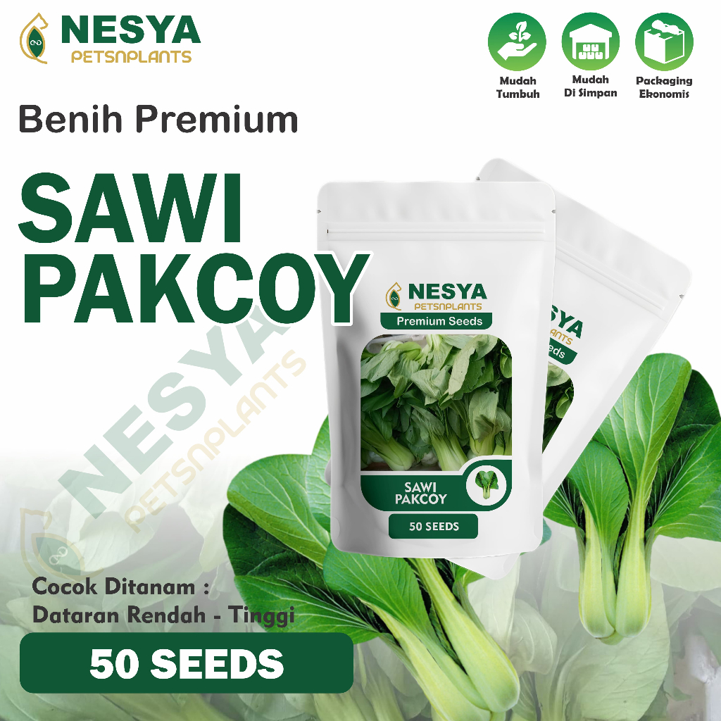 50 Benih Sawi Pakcoy -Bibit Benih Sayur Sayuran