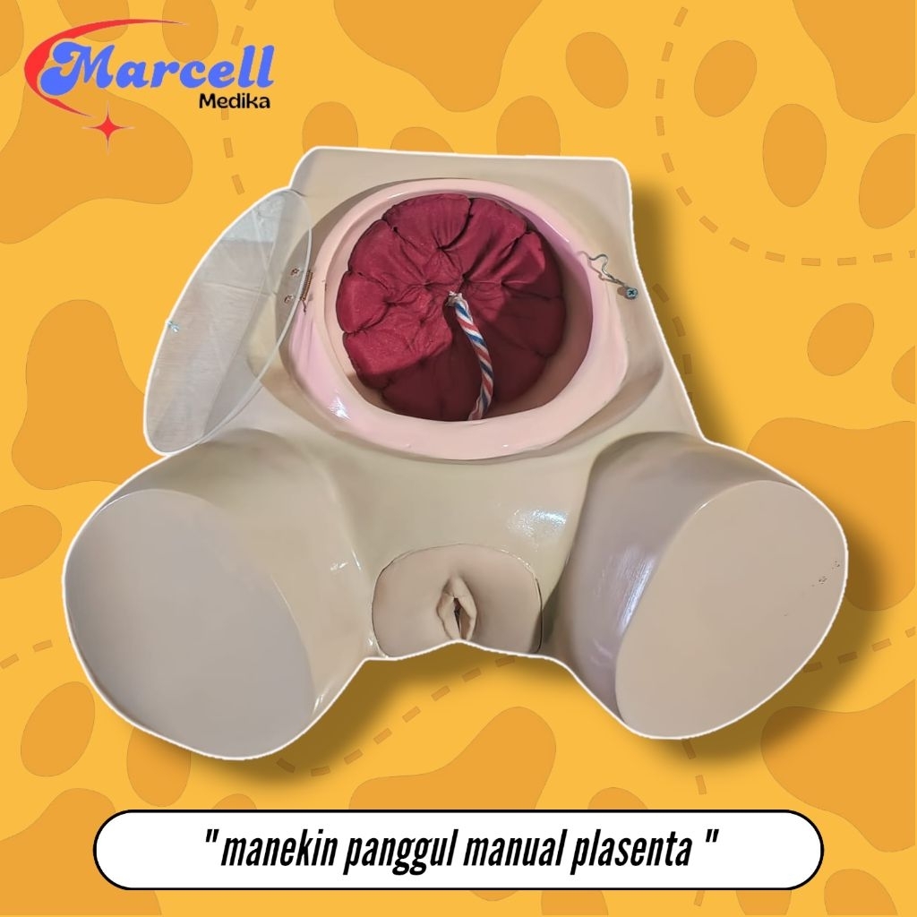 PHANTOM MANEKIN PANGGUL MANUAL PLASENTA / MANIKIN MANUAL PLASENTA