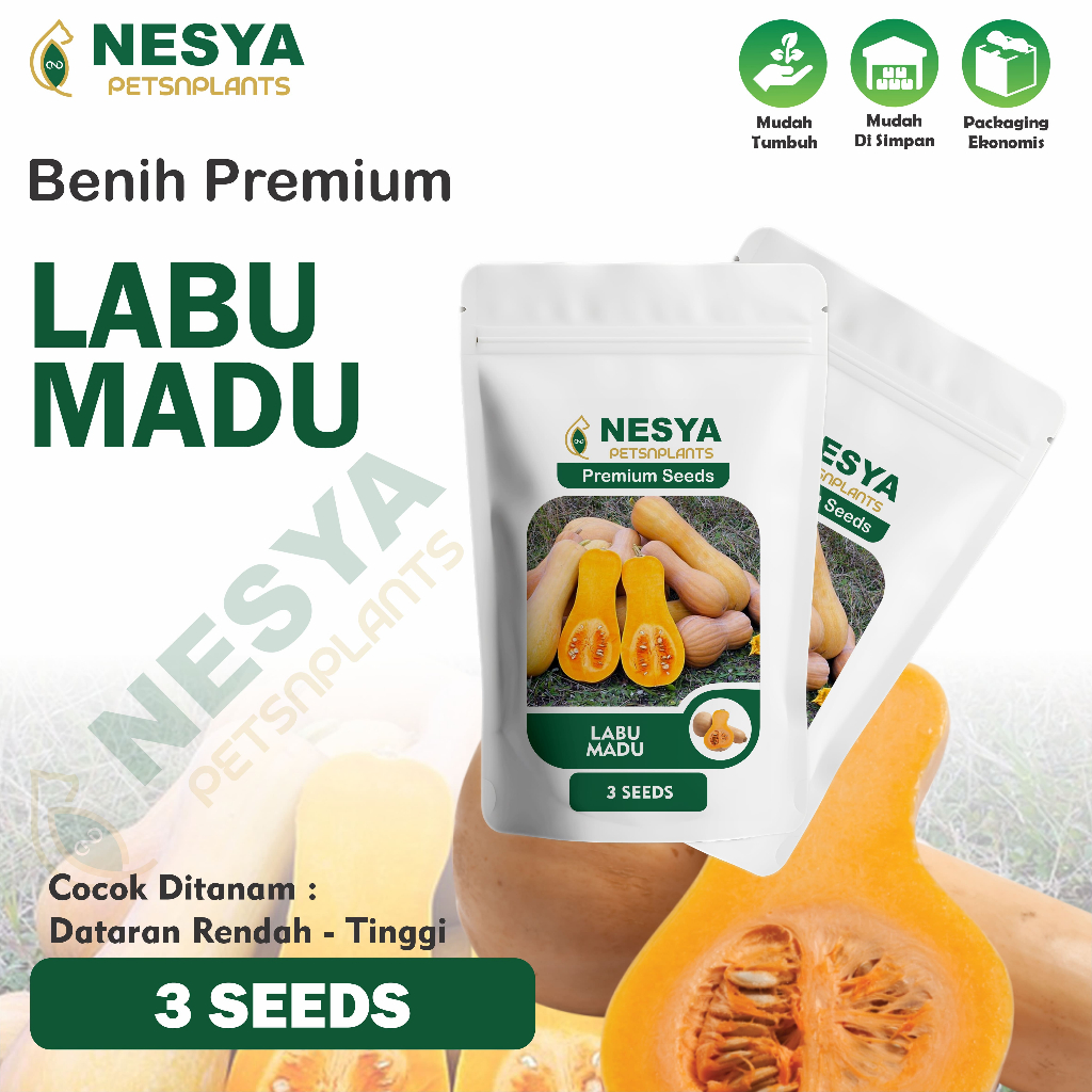 Benih Labu Madu Benih Biji Buah Labu Madu 3 biji Unggul Berkualitas