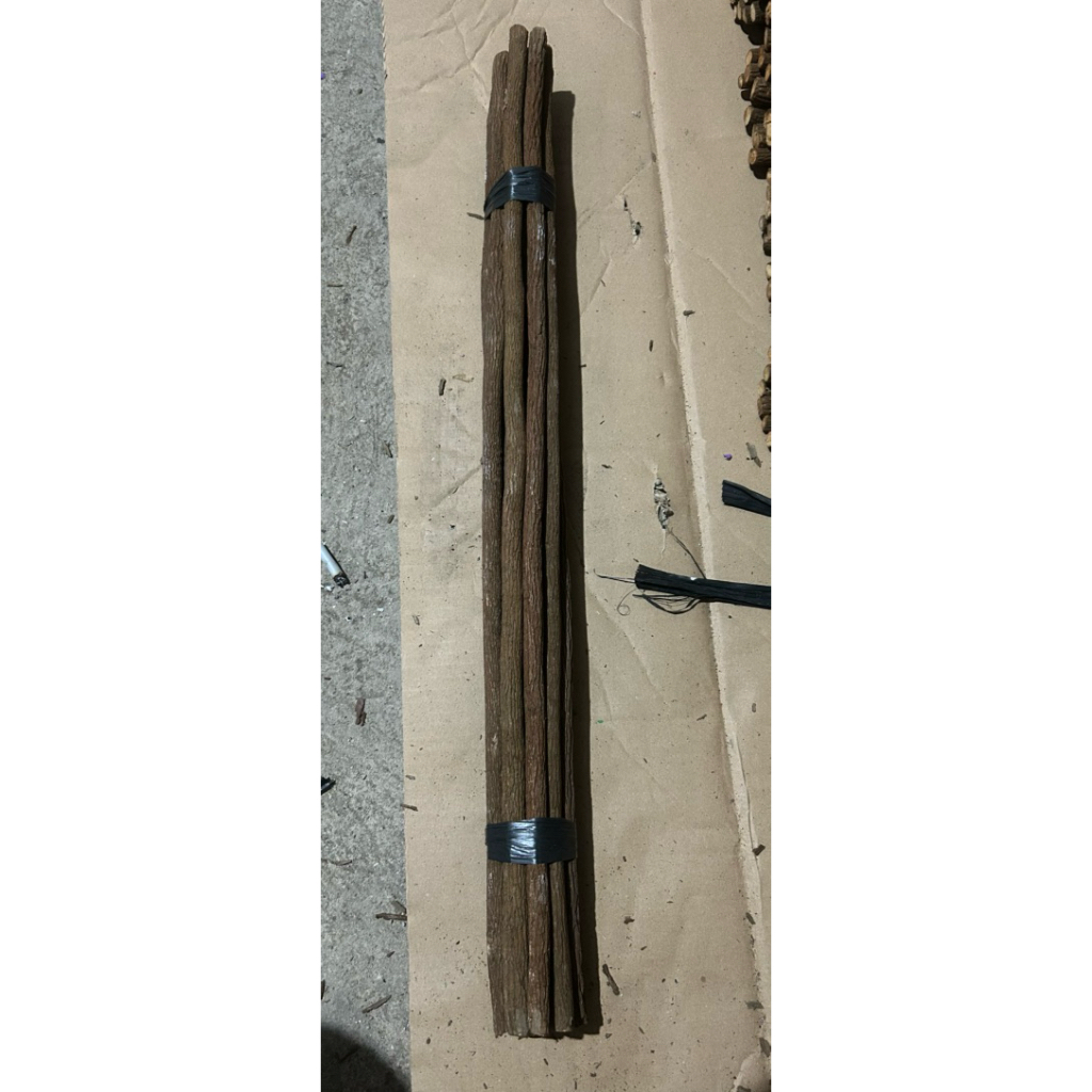 Tangkringan asam jawa/murai batu/panjang65cm/isi10biji