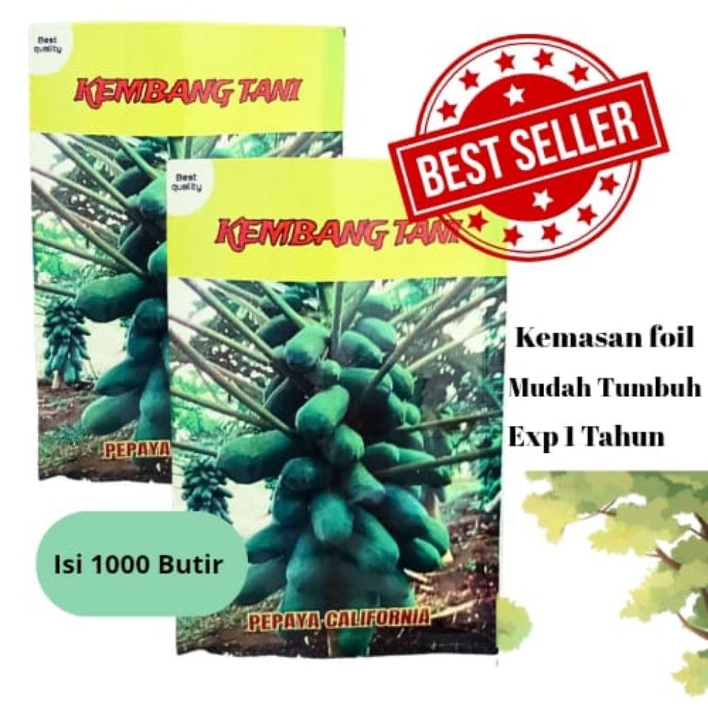 1000 Butir Benih Bibit Pepaya California-Calina IPB9