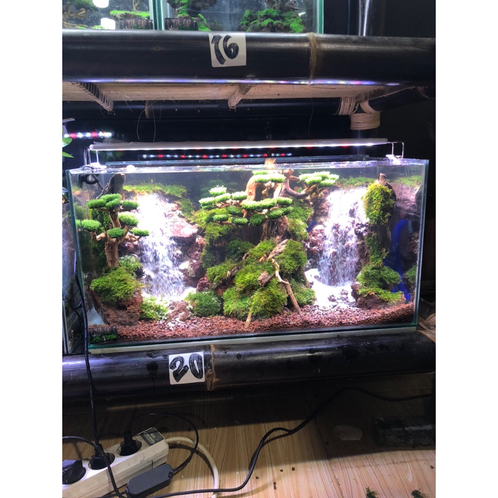 aquascape murah tema waterpall 2 air terjun size 60x30x30 cm fullset siap pandang tinggal colok aj