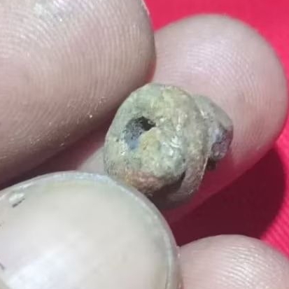 timah kabudan temuan sungai Bengawan Solo