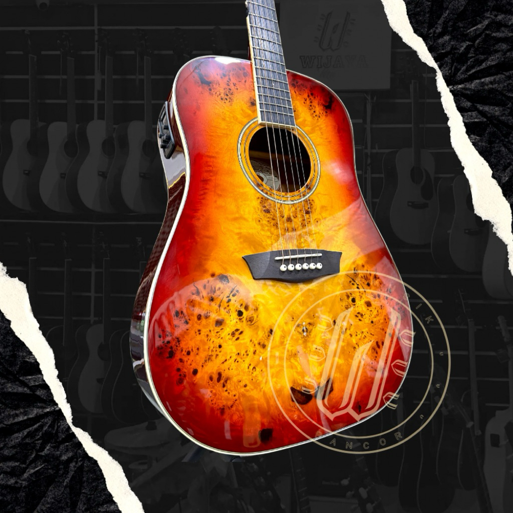 Gitar Akustik Washburn