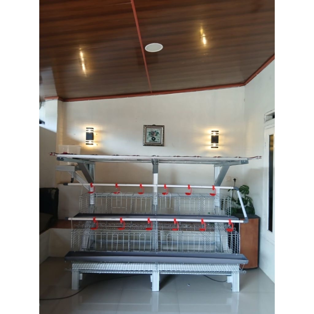 kandang ayam petelur / kandang galvanis / kandang batri sekala rumahan