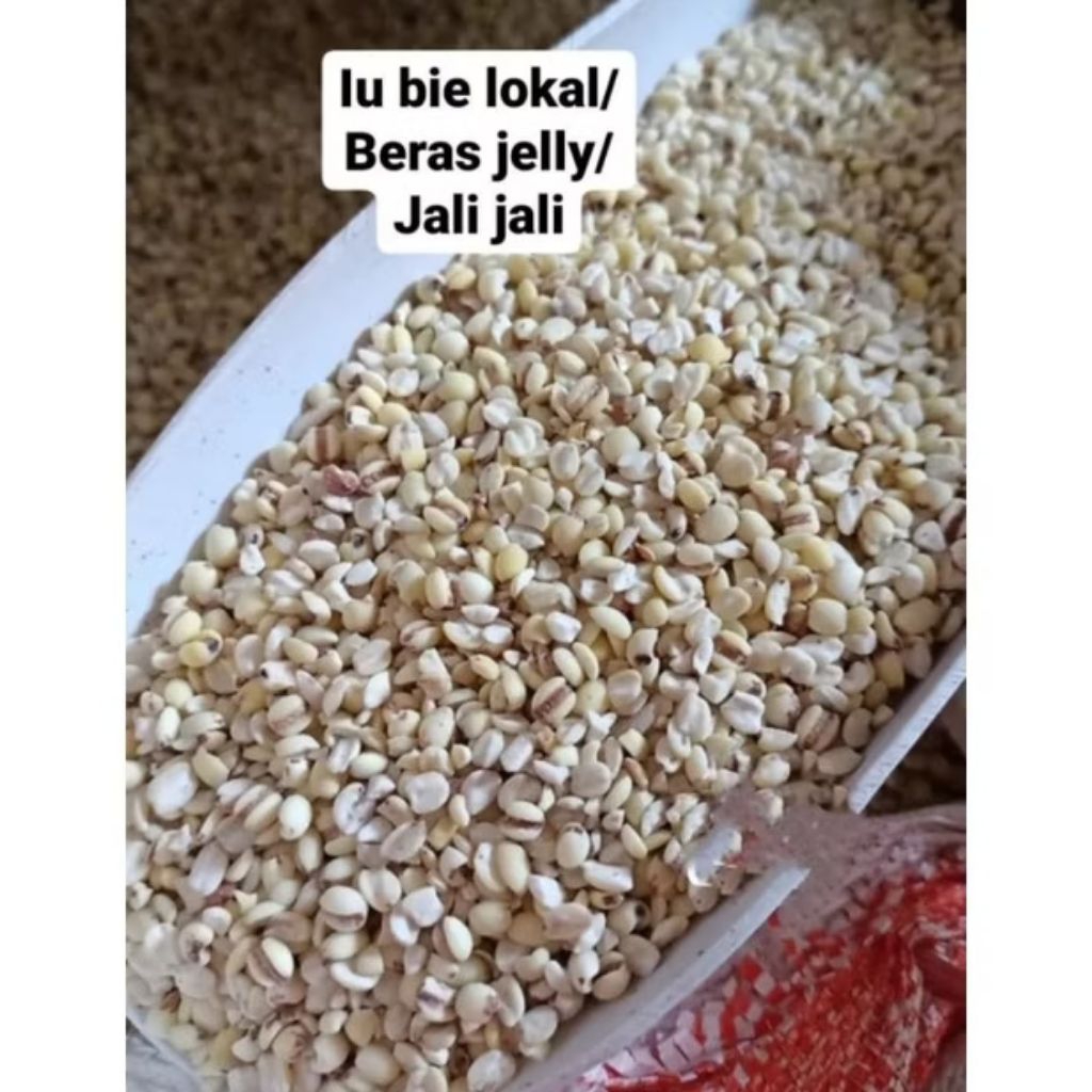 PEARL BARLEY Lokal (500g) Beras Barli / ibi / iu bi / Jelai / Hanjeli / Anjeli / iubi