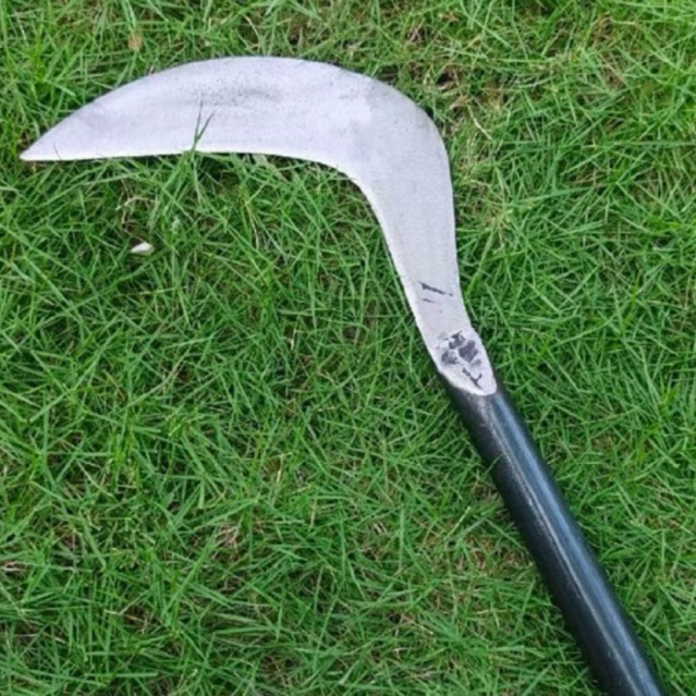 Sabit rumput baja asli super tajam pemangakas rumput Tradisional Bahan Baja Gergaji