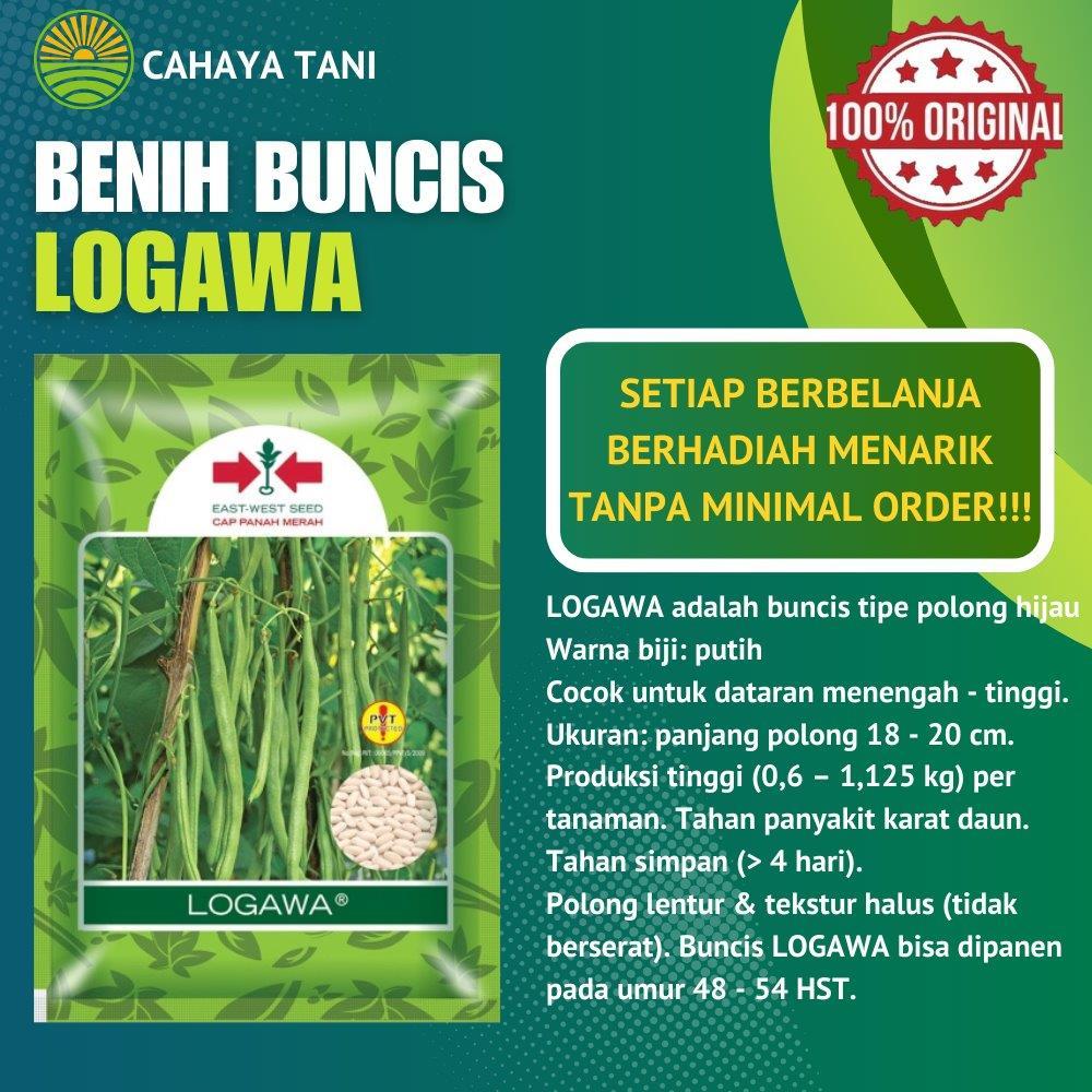Benih Buncis LOGAWA 500gram Panah Merah